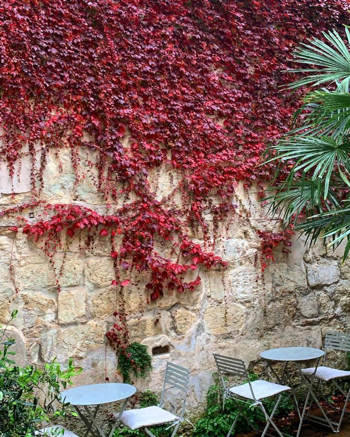 B&B La Maison Galiene Bordéus Exterior foto